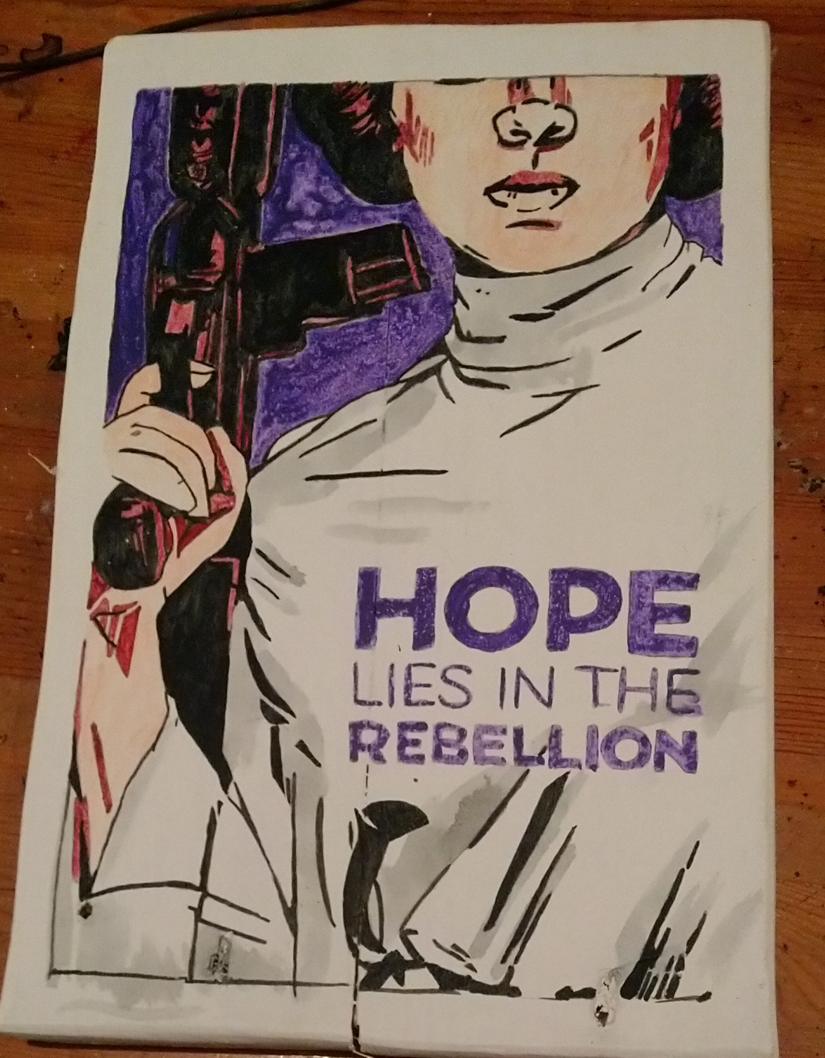 Cuadro Leia Hope lies in the rebellion