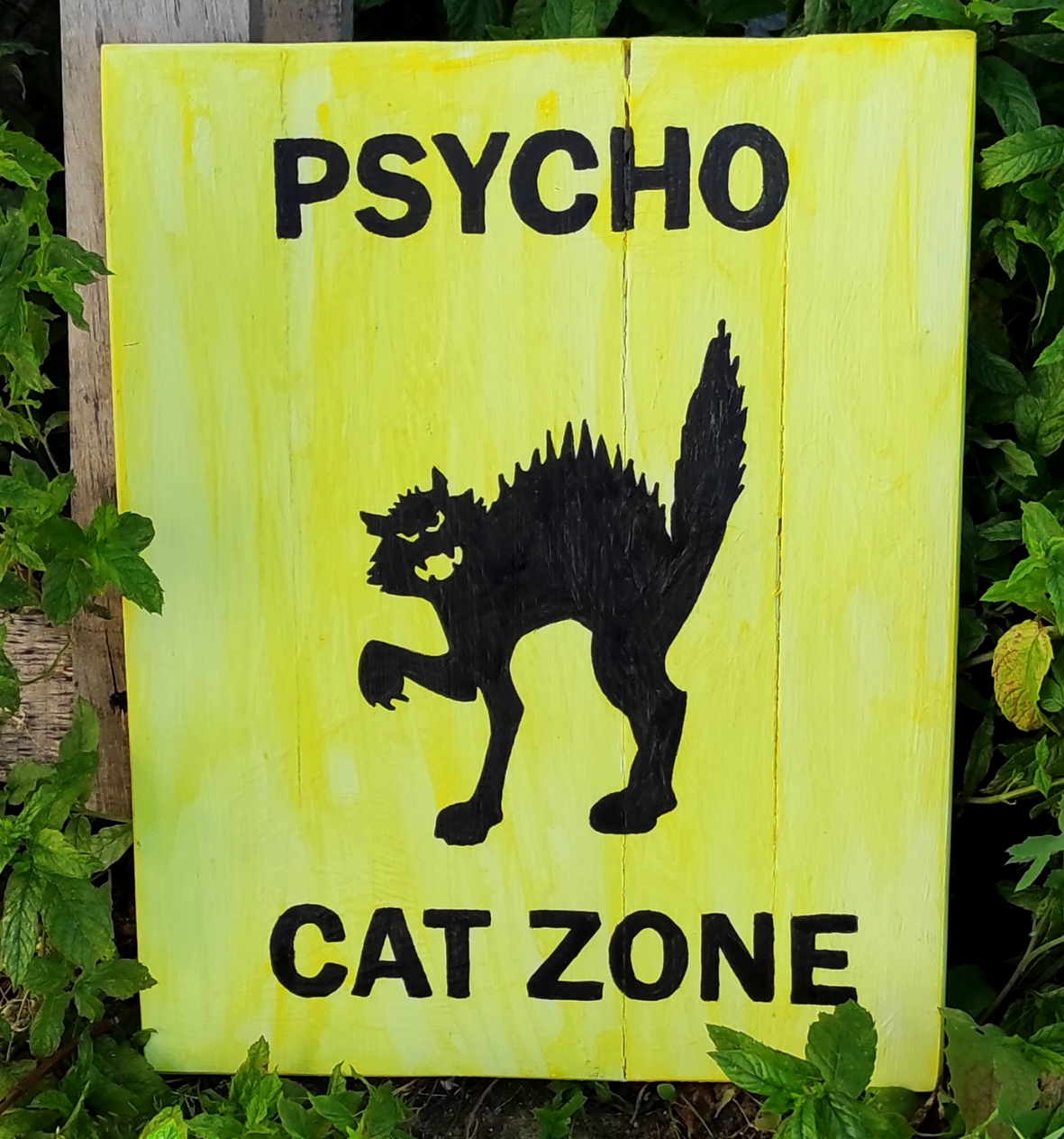 Cartel gato loco psycho cat mascota