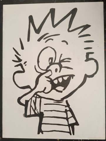 Calvin y hobbs comics